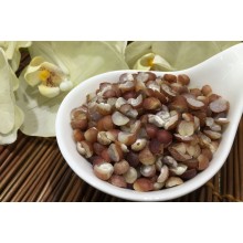 肇慶制茨實(1斤)